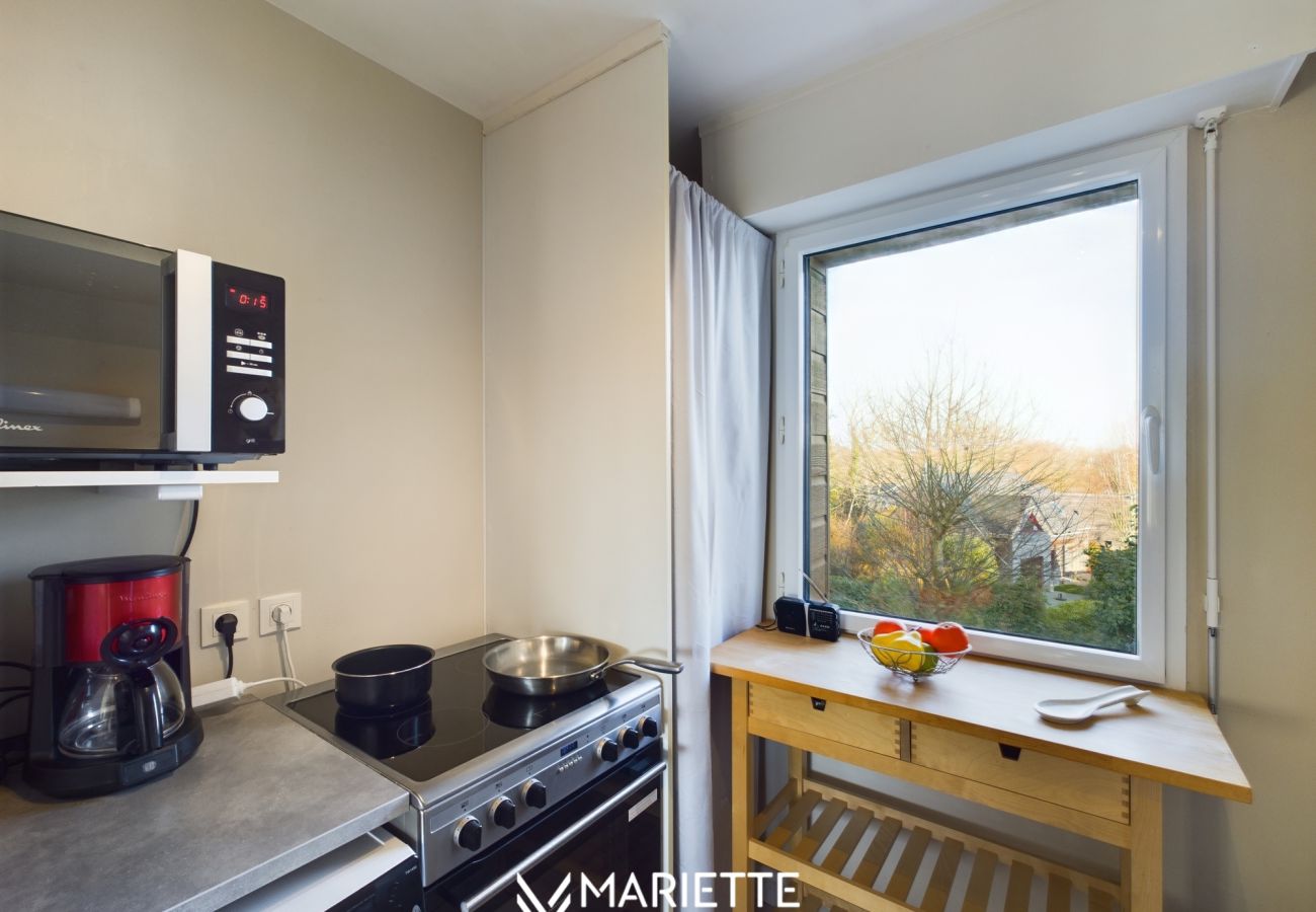 Appartement à Concarneau - -LITTO- CONCARNEAU AVEC TERRASSE PROCHE COMMERCES