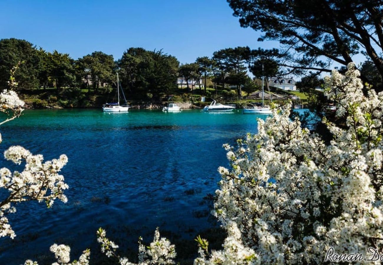Appartement à Concarneau - -ALYS- Charmant T2 proche plage