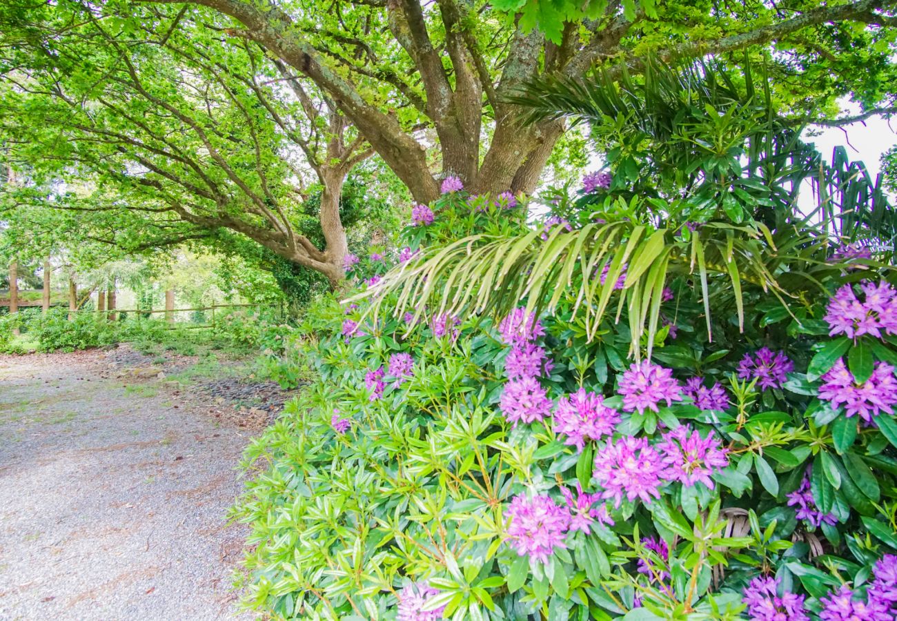 Maison à Concarneau - -PÉTREL- MAISON DE CAMPAGNE AVEC GRAND JARDIN