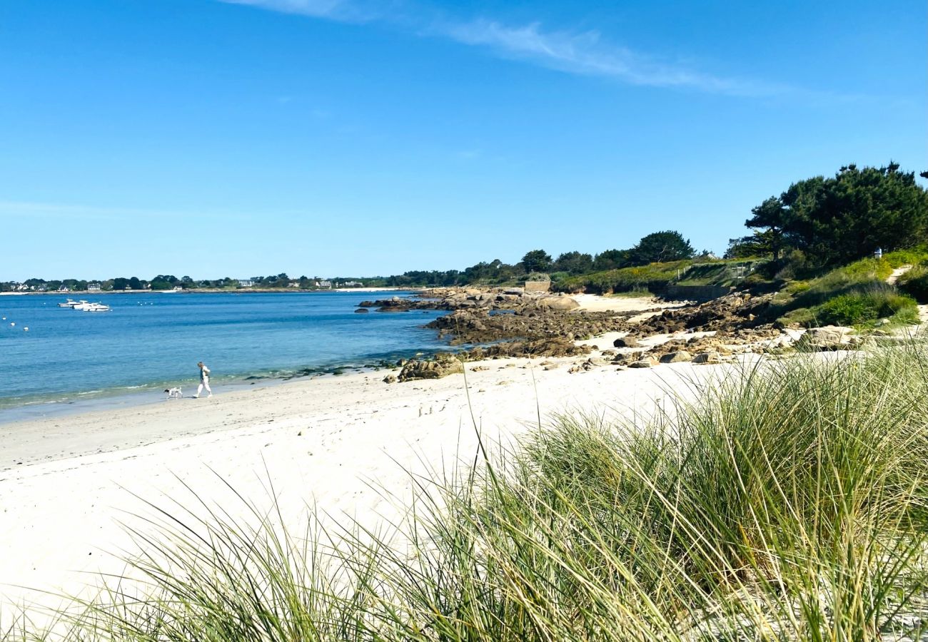 Maison à Concarneau - -ERNEST-Maison avec jardin à 200m des plages