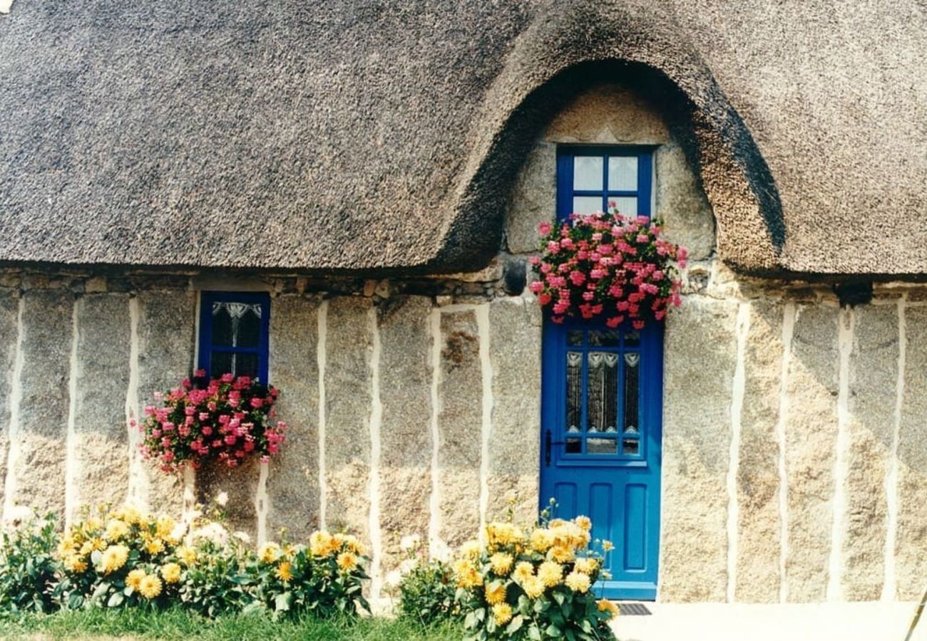Maison à Névez - -BAYA- Authentique & familiale à l'Anse de Rospico