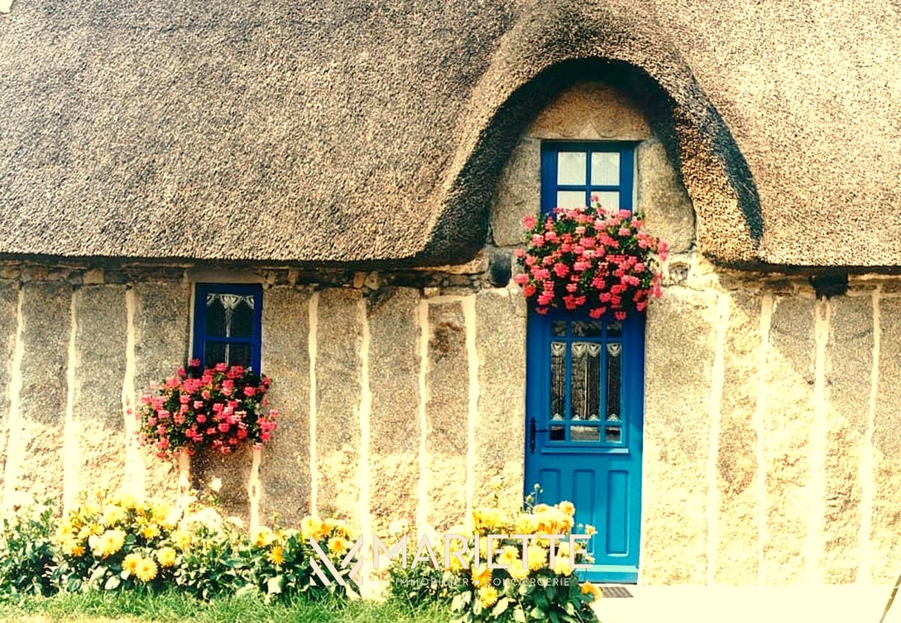 Maison à Concarneau - -OZARIO- Magnifique maison au Cabellou
