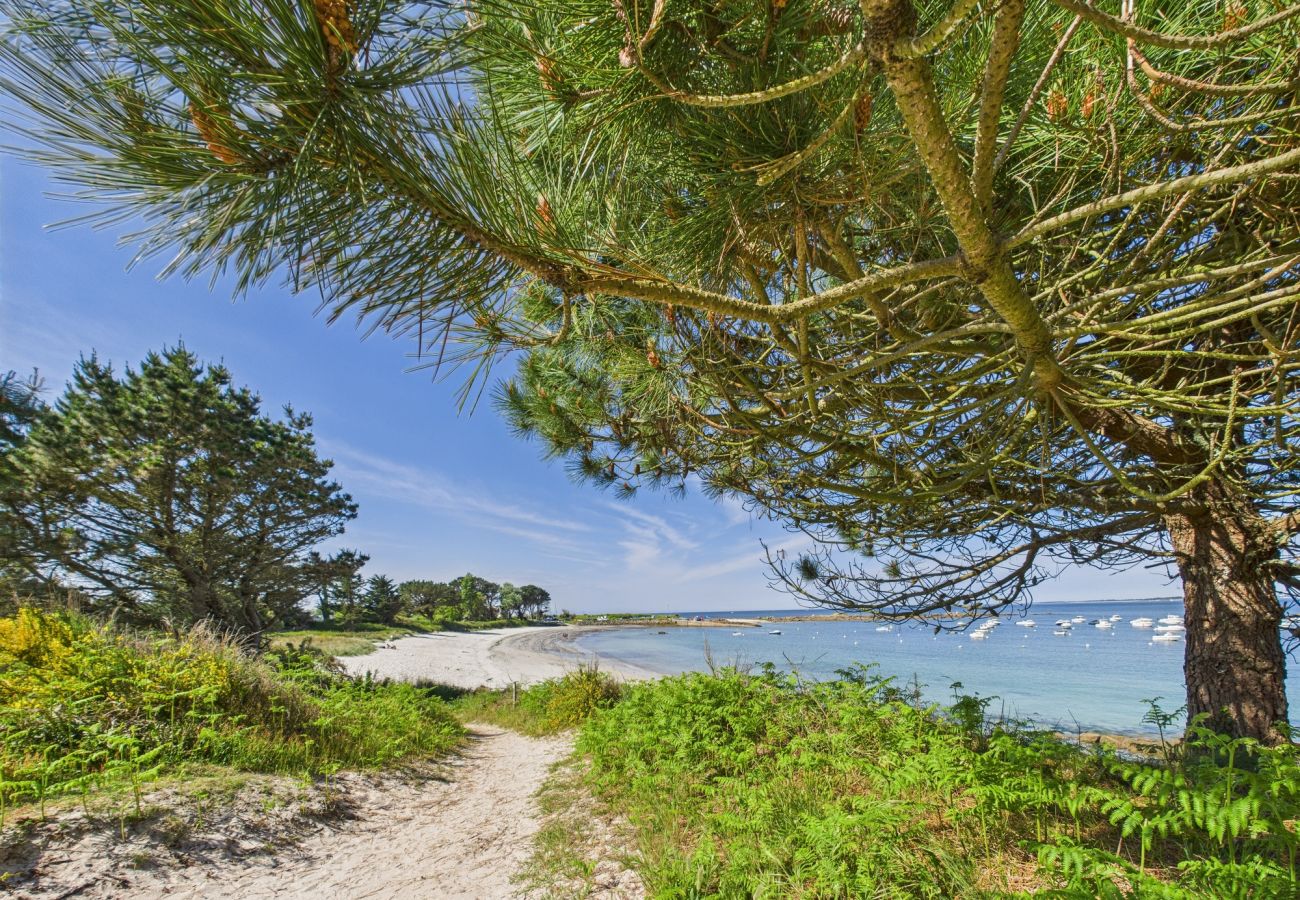 Maison à Trégunc - –Mery– Maison familiale les pieds dans l’eau