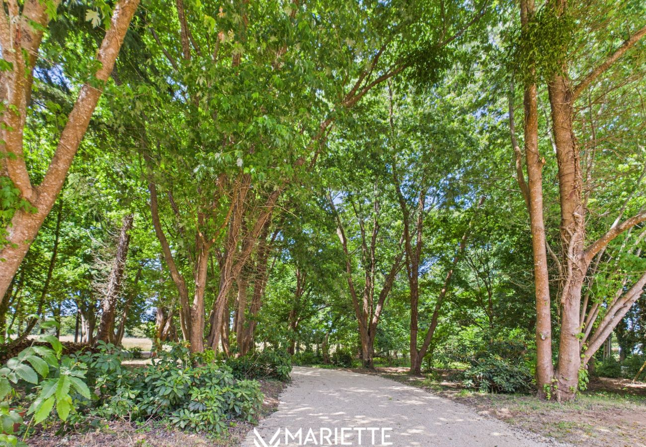 Maison à Névez - -TY TAD - Magnifique Chaumière entièrement rénovée