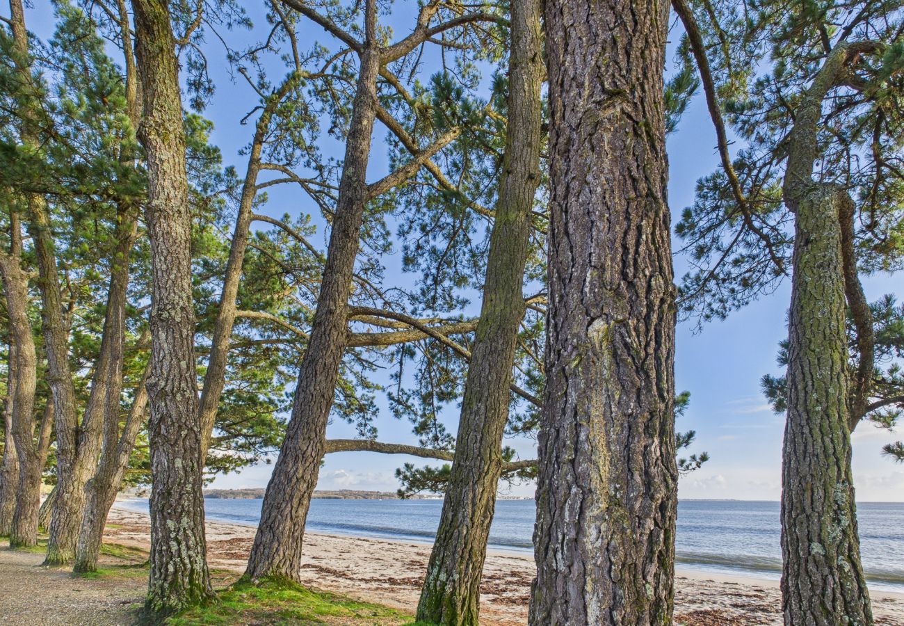 Maison à Fouesnant - -ODILE- Grande maison à Cap Coz proche plage