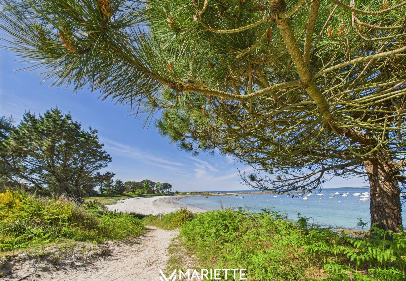 Appartement à Trégunc - -AVA- Charmant T2 à Dourveil