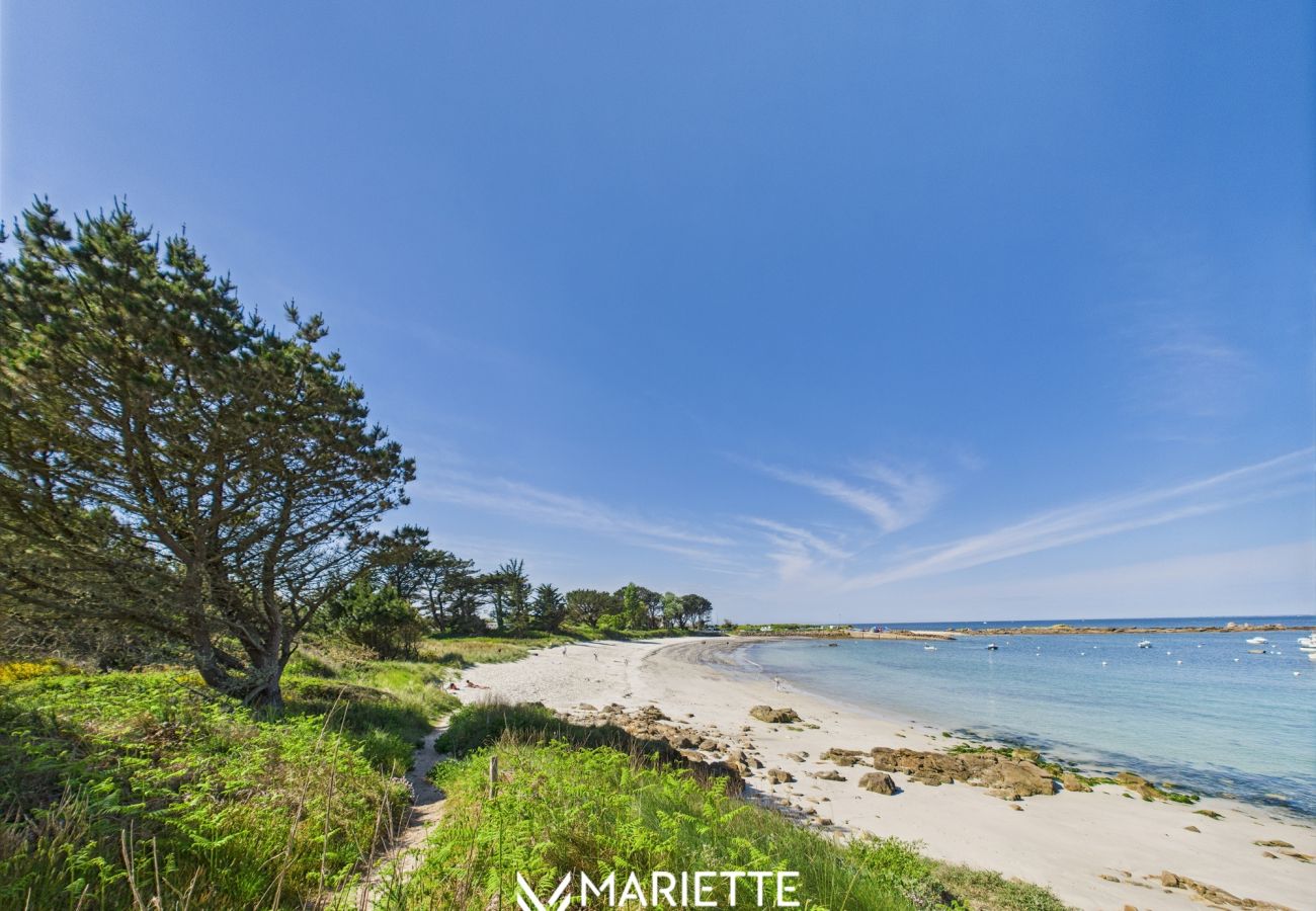 Appartement à Concarneau - -Iruvai- T3 avec place de parking et jardin, proch