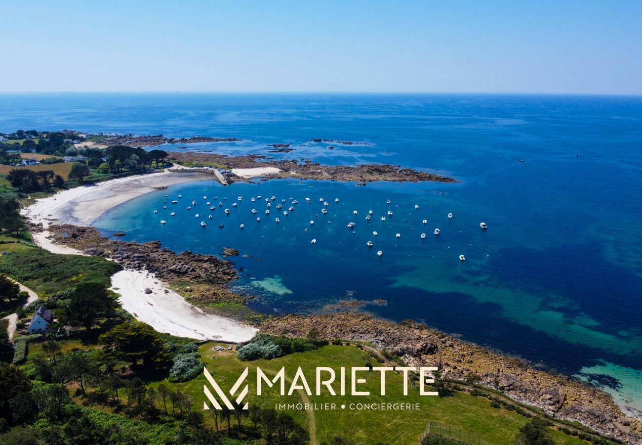 Appartement à Concarneau - -L’Atelier- T2 avec Balcon, parking en hyper centr